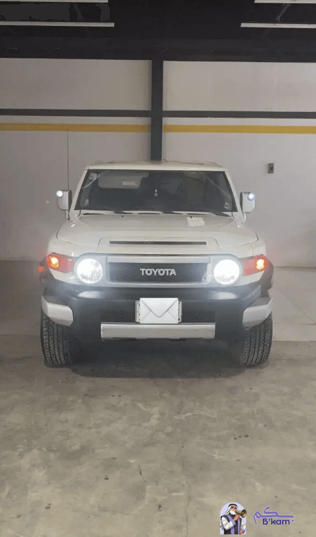 اف جي 2010